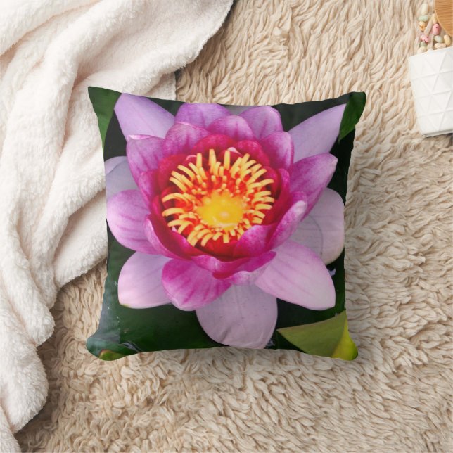 Coussin Eau Lilly Flower Photographie (Couverture)
