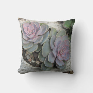 Coussin Echeveria
