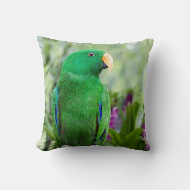 Coussin Eclectus Parrot Homme (Recto)