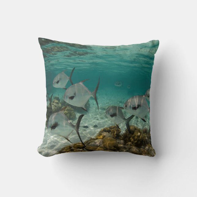 Coussin École de poissons permis (Recto)