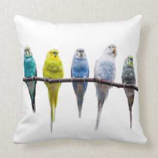 Coussin Économies