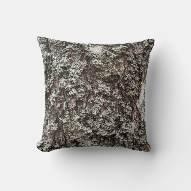 Coussin écorce patinée de bouleau (Recto)