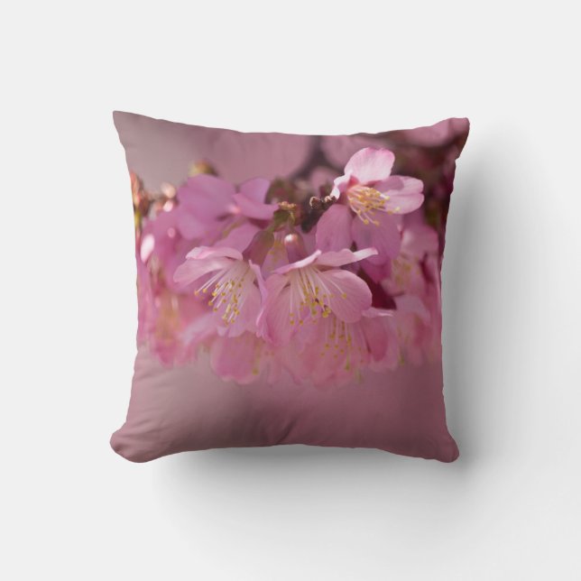 Coussin Écouteur à jet 2012 Hot Spring 2012 (Recto)