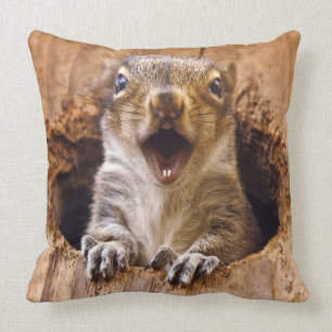 Coussin Écureuil choqué