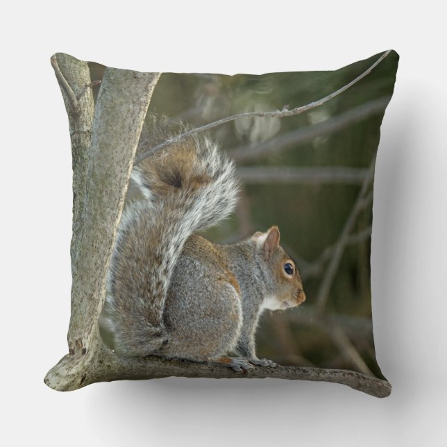 Coussin Écureuil gris (Recto)
