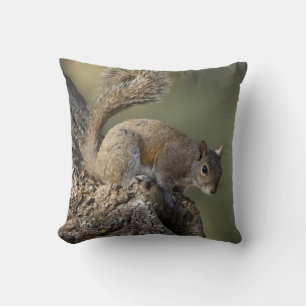 Coussin Écureuil gris de l'Est, ou écureuil gris