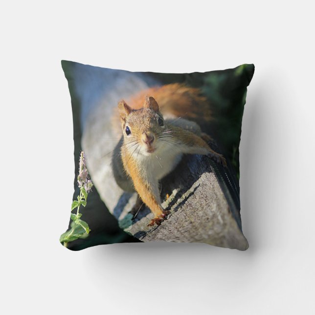 Coussin Écureuil rouge (Recto)