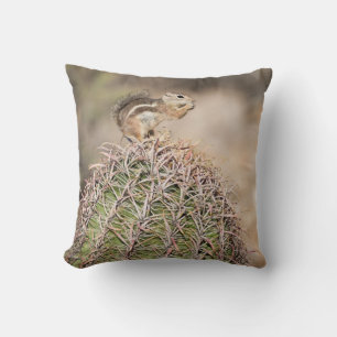 Coussin Écureuil sur cactus tonneau