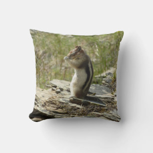 Coussin Écureuil terrestre à manteau doré à Glacier I