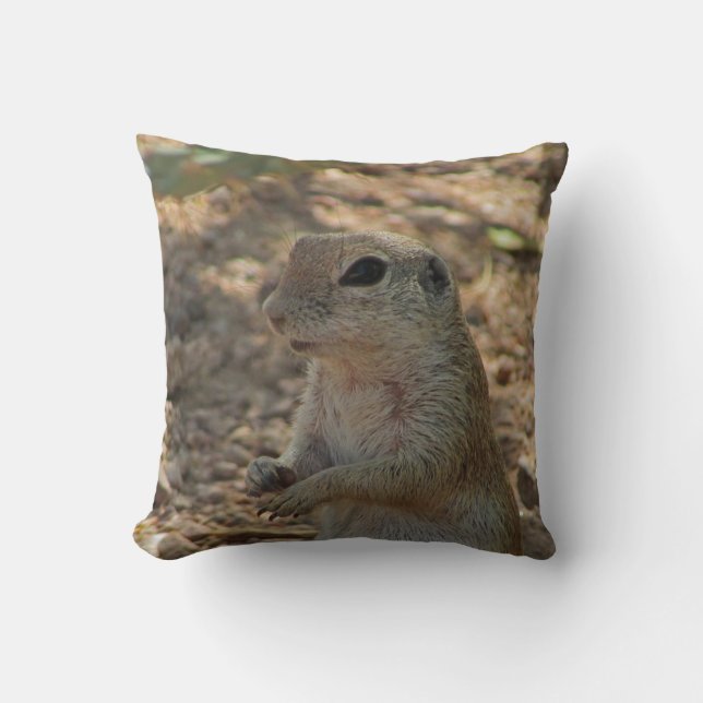 Coussin Écureuil terrestre Nature Photo Animal du désert (Recto)