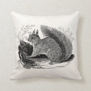 Coussin Écureuils européens vintages de 1800s d'écureui