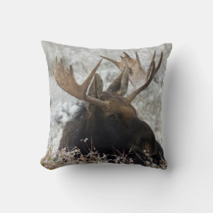 Coussin Élan mâle de Shiras