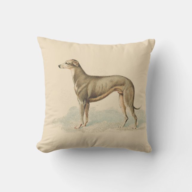 Coussin Élégant Whippet rétro rose (Recto)
