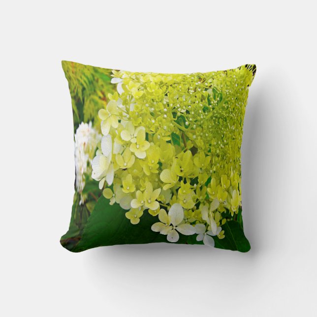 Coussin Élégante Chartreuse Vert Limelight Hydrangea (Recto)