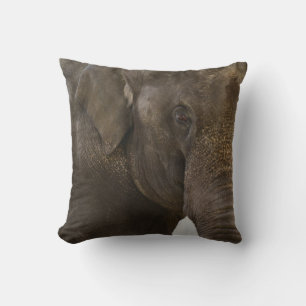Coussin Eléphant proche