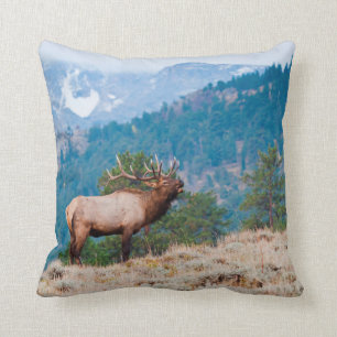 Coussin Elk (Cervus Elephus) Bulle