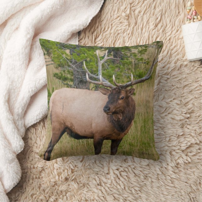 Coussin Elk Lake Village Yellowstone National Park Wyoming (Couverture)