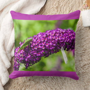 Coussin énergie de la sauterelle