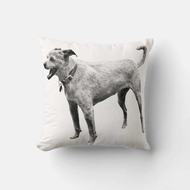 Coussin Énergie sur le terrain (Recto)