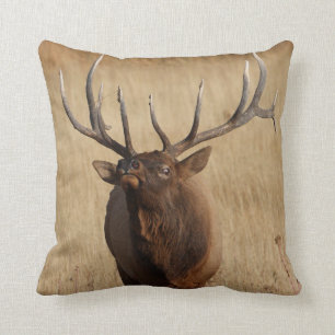 Coussin enflement d'élans et d'oeil