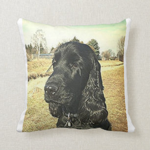 Coussin English_Cocker_Spaniel.png noir