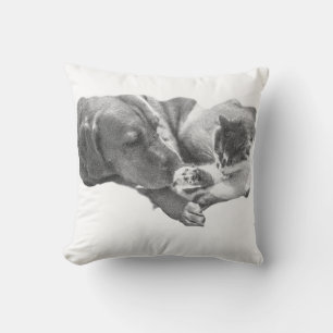 Coussin Ensemble dans la douceur