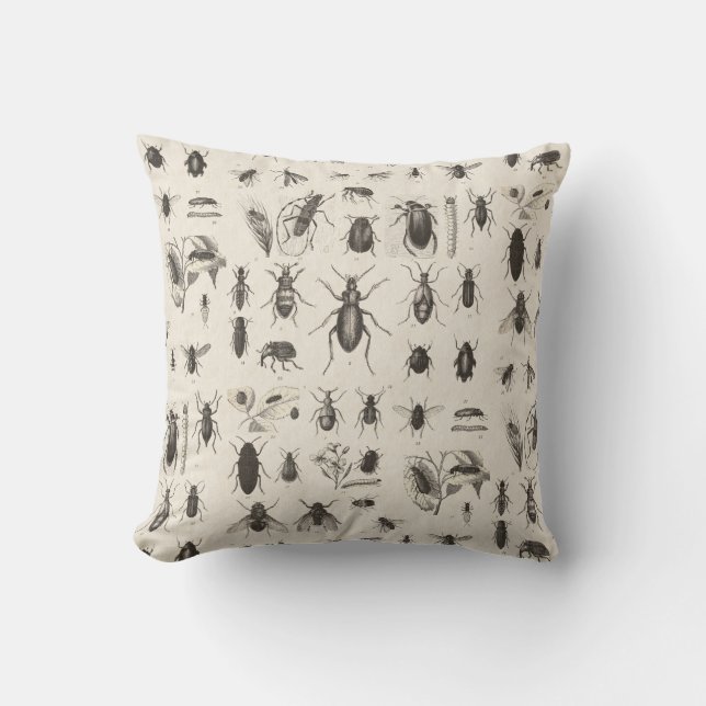 Coussin Entomologie antique d'insectes et d'insectes (Recto)