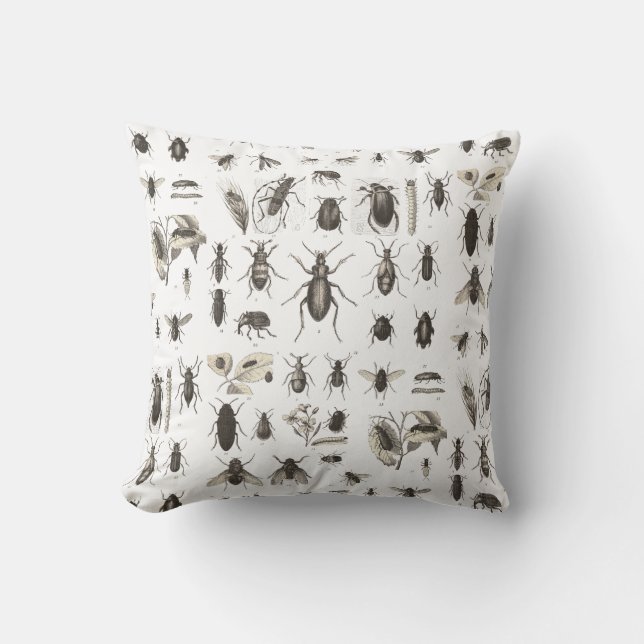 Coussin Entomologie antique d'insectes et d'insectes (Recto)