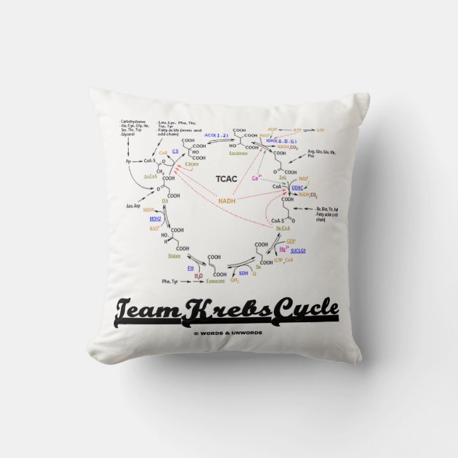 Coussin Équipe Krebs Cycle Biochimie Geek Humour (Recto)