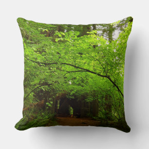 Coussin Érables dans la forêt de séquoias