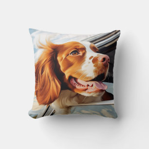 Coussin Espagnol breton dans la fenêtre de voiture