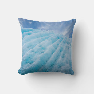 Coussin États-Unis, Alaska, Glacier Bay National Park 4
