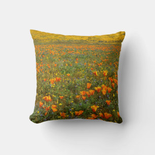 Coussin États-Unis, Californie, Antelope Valley Californie