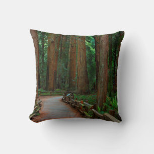 Coussin États-Unis, Californie. Chemin parmi les séquoias