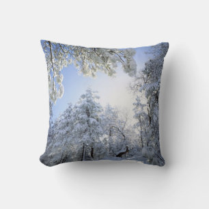 Coussin États-Unis, Californie, Cleveland National Forest