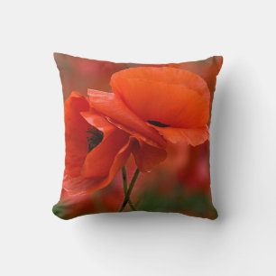 Coussin États-Unis, Caroline du Nord. Gros plan sur le pav