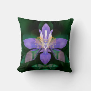Coussin États-Unis, Colorado, comté de Boulder