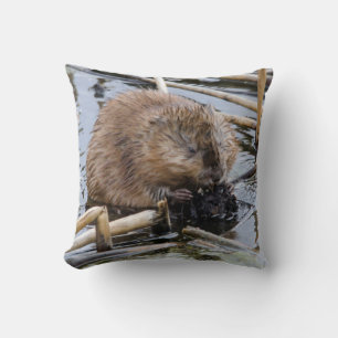 Coussin États-Unis, Nebraska. Castor