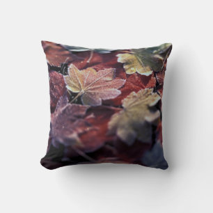 Coussin États-Unis, Pacifique Nord-Ouest. Feuilles d'érabl