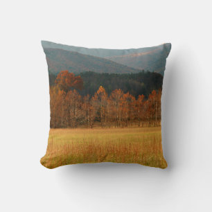 Coussin États-Unis, Tennessee. Cades Cove dans Smoky Mount
