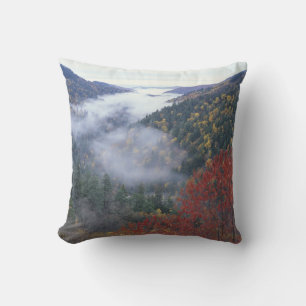 Coussin États-Unis, Tennessee, Great Smokey Mountains Nat