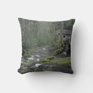 Coussin États-Unis, Tennessee, Great Smoky Mountains Nati