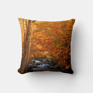 Coussin États-Unis, Tennessee. Ruisseau Rushing Mountain 