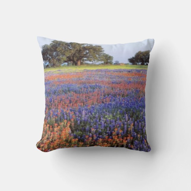 Coussin États-Unis, Texas, Llano. Bluebonnets et redbonnet (Recto)