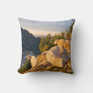 Coussin États-Unis, Washington, chaîne des Cascades 4