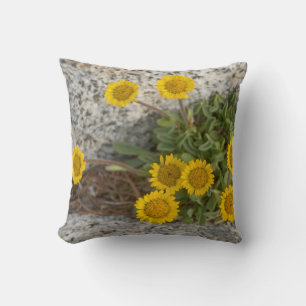 Coussin États-Unis, Washington, chaîne des Cascades 5
