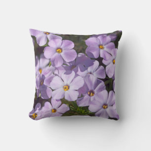 Coussin États-Unis, Washington, chaîne des Cascades 6