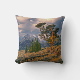 Coussin États-Unis, Wyoming, Grand Teton NP. Le lever du s
