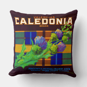 Coussin étiquette de caisse orange Caledonia 1930