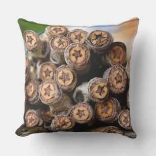Coussin Etoiles le long du Rio Grande Cotton Wood Trees